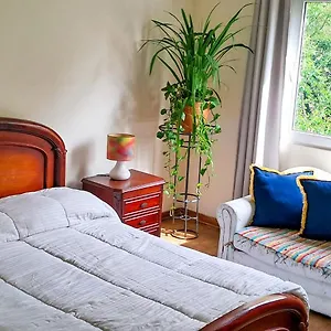 https://habitacin-privada-en-apartamento-conquistadores.colombiamedellinhotels.com